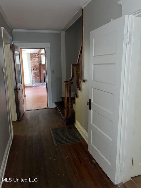 hall featuring ornamental molding and dark wood-type flooring