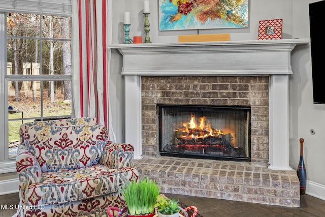 room details with a fireplace, wood finished floors, and baseboards