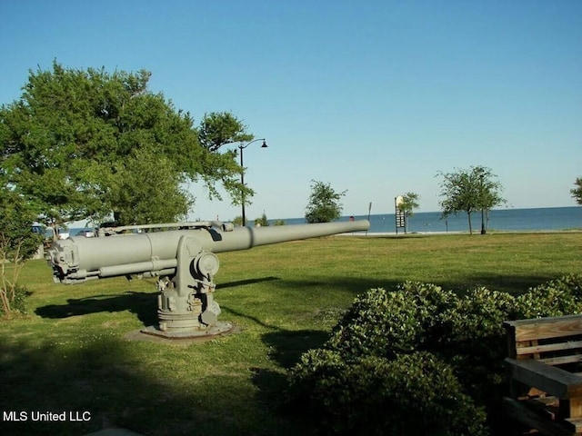 view of community featuring a water view and a yard