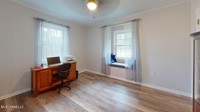 office space featuring crown molding, ceiling fan, light wood-type flooring, and plenty of natural light