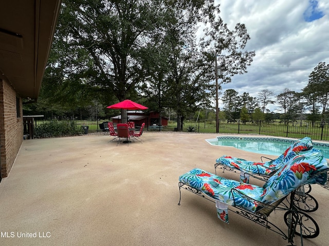 view of pool featuring a patio