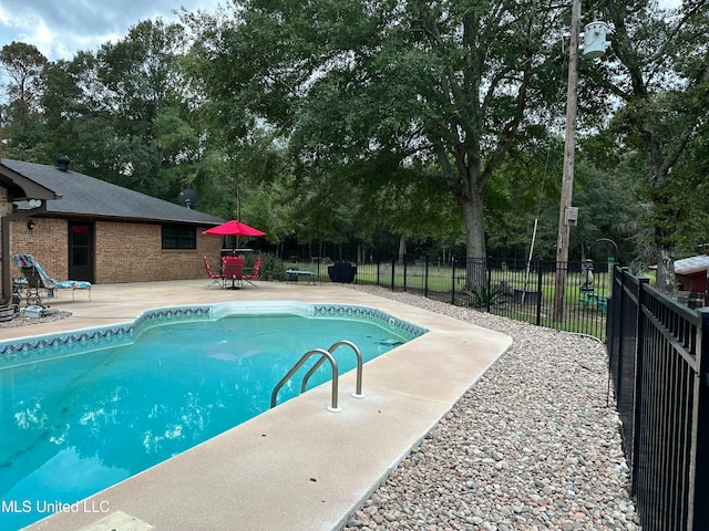 view of swimming pool featuring a patio area