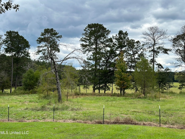 view of yard with a rural view