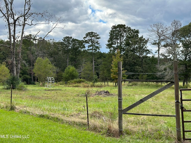 view of yard featuring a rural view