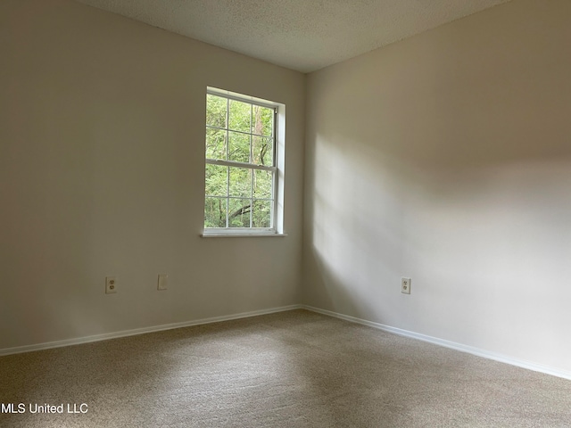 empty room featuring a textured ceiling and carpet floors