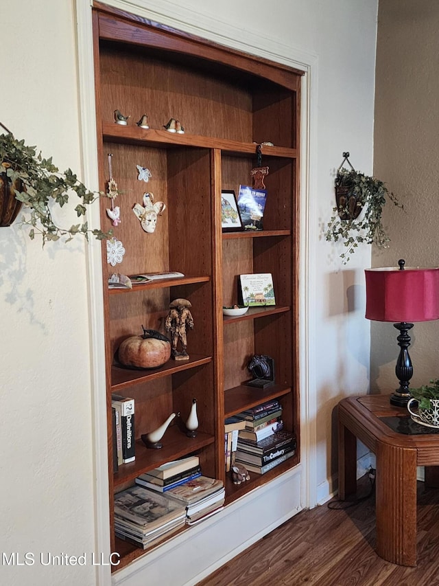 details featuring hardwood / wood-style floors