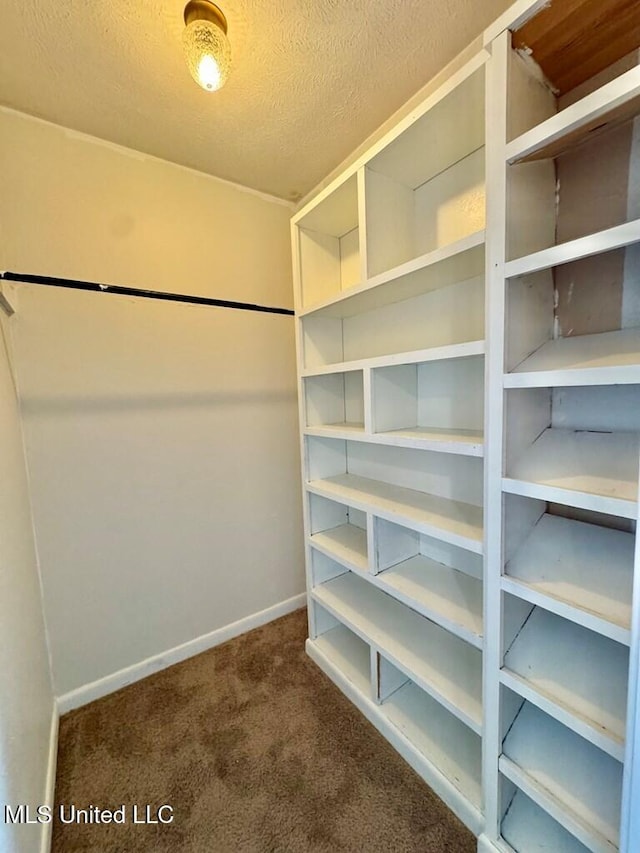 319 S 4th St, Mccomb, MS 39648 - walk in closet with dark carpet