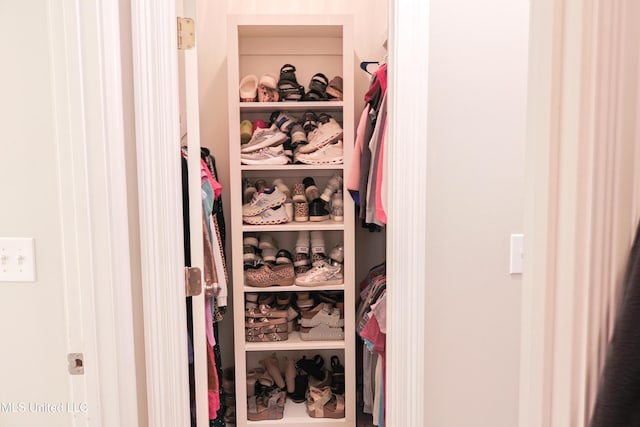 view of closet