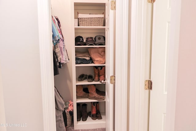 view of closet