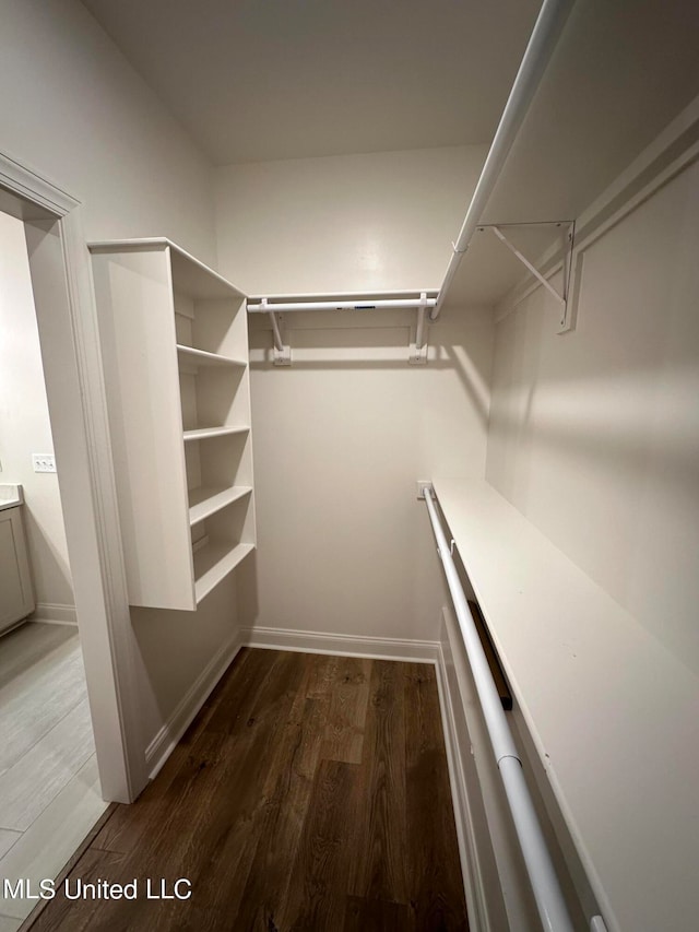 spacious closet featuring wood-type flooring