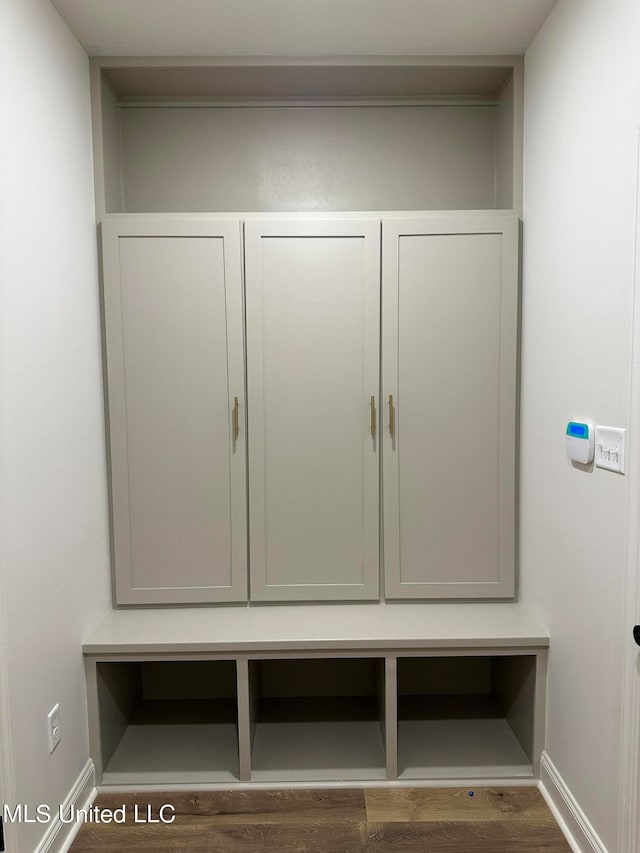 mudroom featuring dark hardwood / wood-style floors