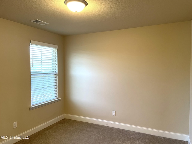 carpeted spare room featuring a healthy amount of sunlight and a textured ceiling