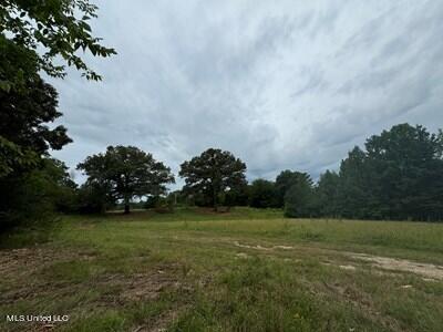 Listing photo 3 for 11 Fisher Rd, Winona MS 38967