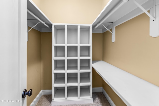 spacious closet featuring dark colored carpet