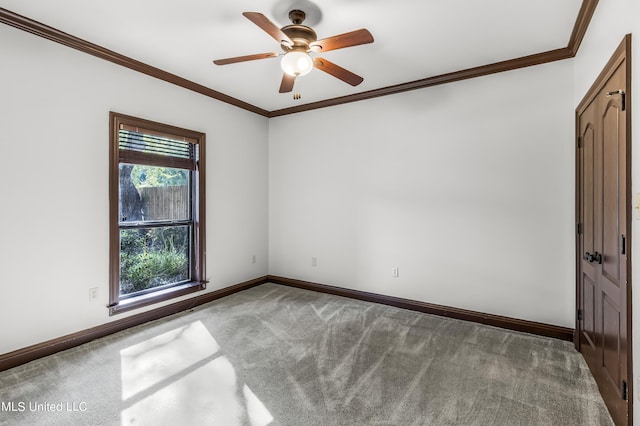 unfurnished room featuring ceiling fan, carpet flooring, and ornamental molding