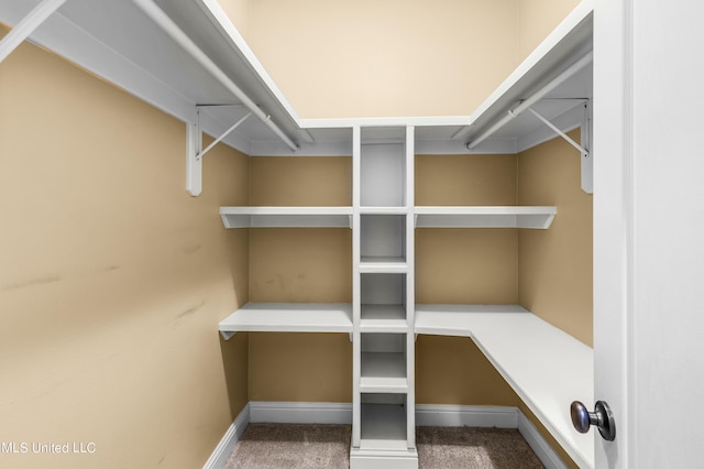 walk in closet featuring carpet