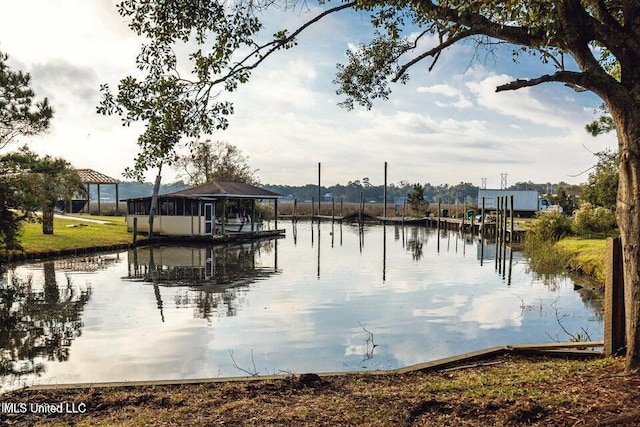 water view with a dock