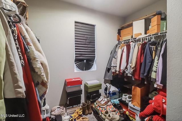 view of spacious closet