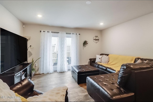 living room with light wood-type flooring