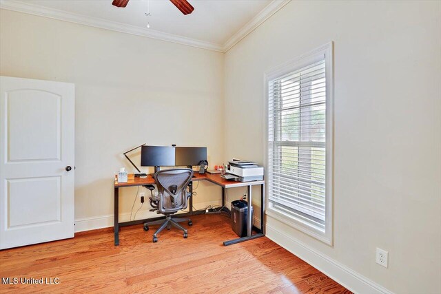 208 Grand Oak Blvd, Clinton, MS 39056 - office space featuring light wood-style floors, crown molding, a ceiling fan, and baseboards