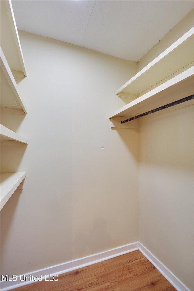 spacious closet with wood-type flooring