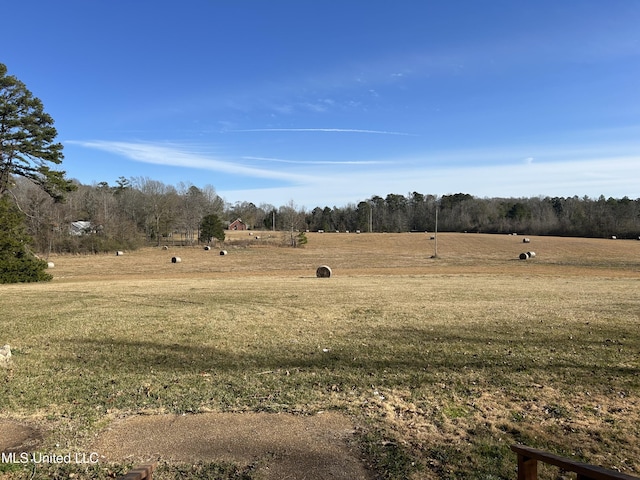 view of yard with a rural view