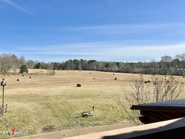 view of yard with a rural view