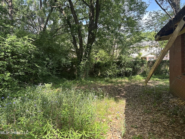 25 Oak Creek Pl, Jackson, MS 39211 - view of local wilderness