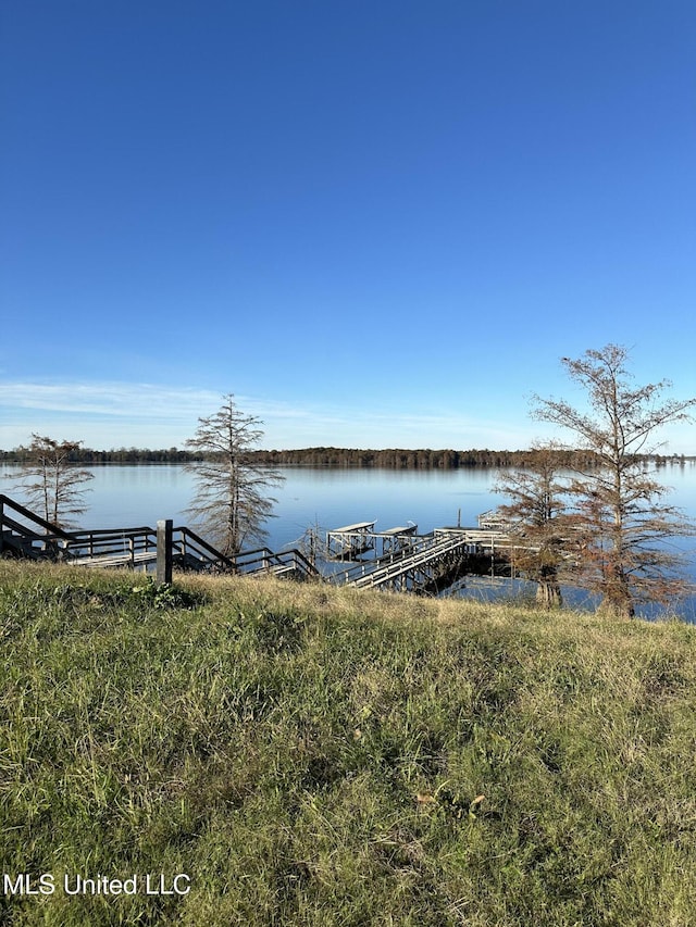 water view featuring a boat dock