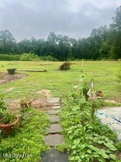 152 Bexley Rd, Lucedale, MS 39452 - view of yard