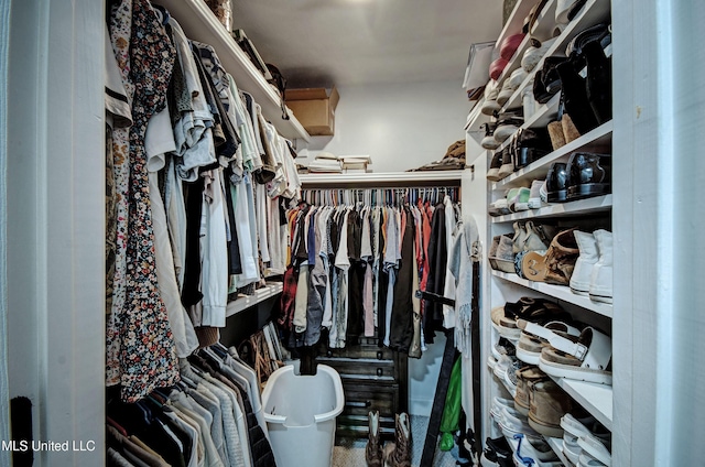 215 Moss Valley Dr, Brandon, MS 39042 - view of spacious closet