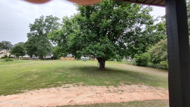 109 N Barnett St, Poplarville, MS 39470 - view of green lawn