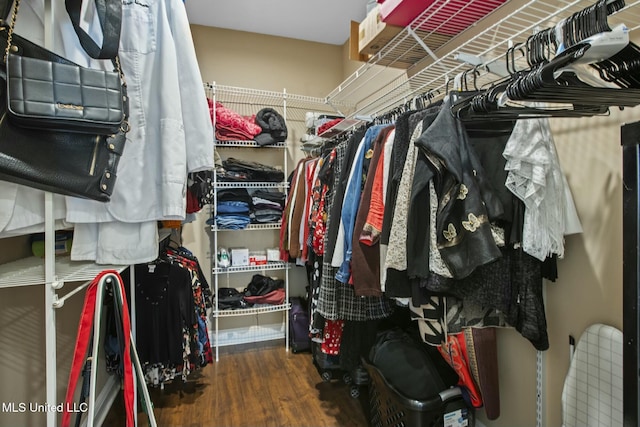 walk in closet featuring wood finished floors