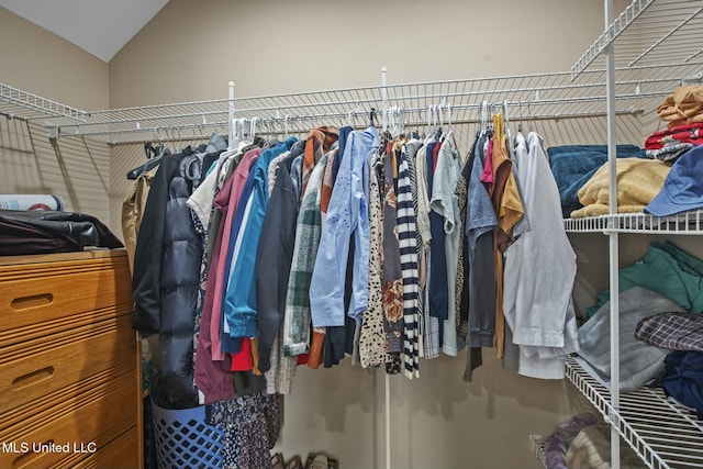 spacious closet with vaulted ceiling