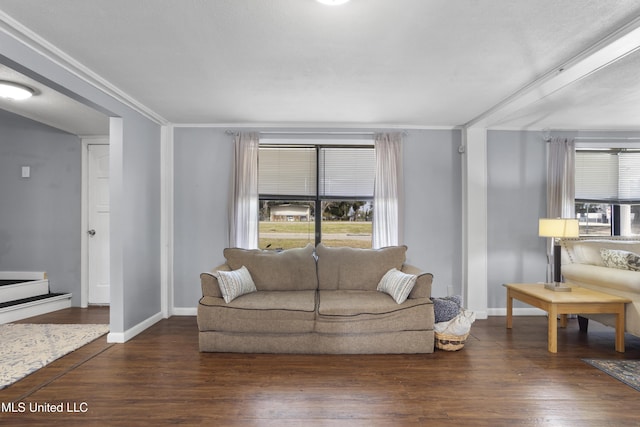 living room featuring crown molding and dark wood-type flooring