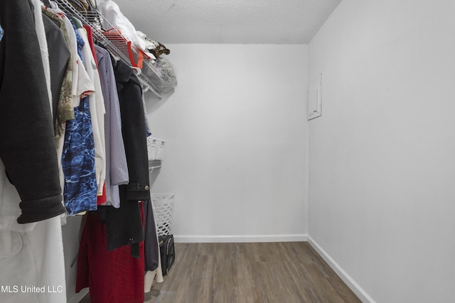 spacious closet with hardwood / wood-style flooring