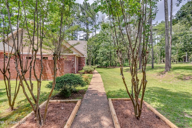209 Lake Terrace Pl, Brandon, MS 39047 - view of grassy yard