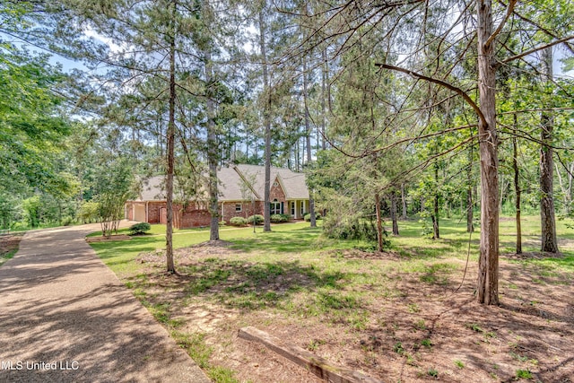 209 Lake Terrace Pl, Brandon, MS 39047 - view of grassy yard featuring driveway