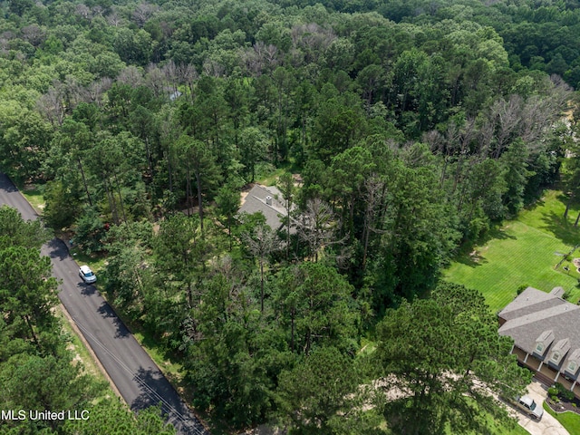209 Lake Terrace Pl, Brandon, MS 39047 - view of property location with a heavily wooded area
