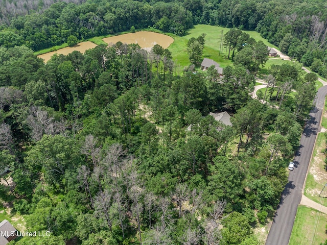 209 Lake Terrace Pl, Brandon, MS 39047 - aerial view of property's location with a forest