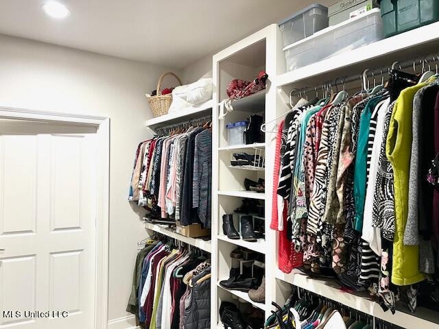 view of walk in closet