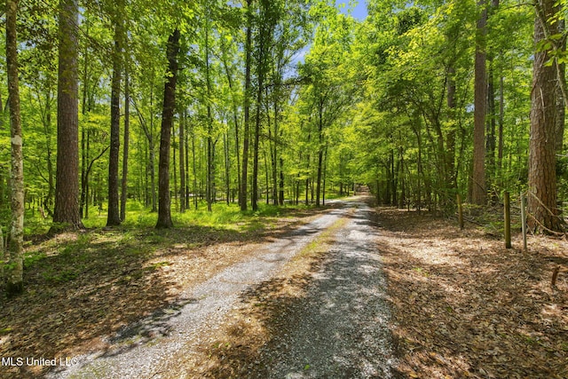 169 Pine Hill Dr, Brandon, MS 39047 - view of dirt / gravel road featuring a wooded view