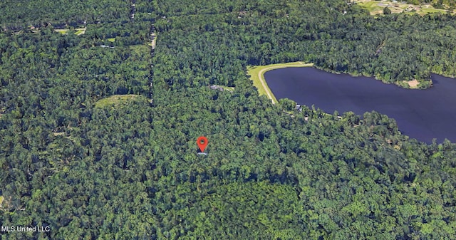 169 Pine Hill Dr, Brandon, MS 39047 - view of property location featuring a forest and a nearby body of water