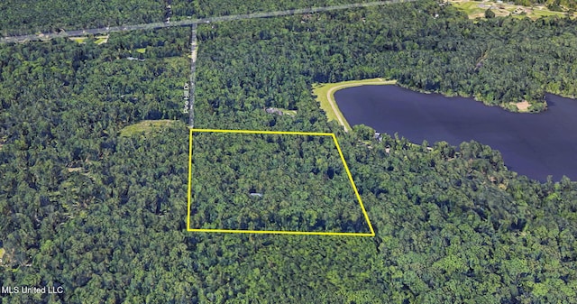 169 Pine Hill Dr, Brandon, MS 39047 - aerial view of property and surrounding area with a large body of water and property parcel outlined