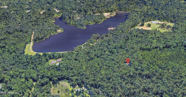 169 Pine Hill Dr, Brandon, MS 39047 - aerial view of property and surrounding area featuring a nearby body of water