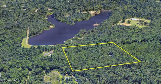 169 Pine Hill Dr, Brandon, MS 39047 - aerial view of property and surrounding area with property boundaries highlighted