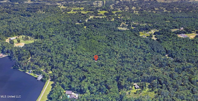 169 Pine Hill Dr, Brandon, MS 39047 - aerial view of property's location with a heavily wooded area