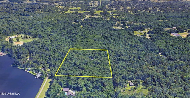 169 Pine Hill Dr, Brandon, MS 39047 - aerial view of property and surrounding area with a heavily wooded area and property parcel outlined