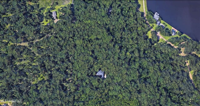 169 Pine Hill Dr, Brandon, MS 39047 - aerial view of property and surrounding area