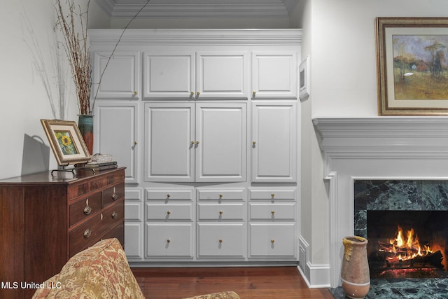 169 Pine Hill Dr, Brandon, MS 39047 - detailed view of a premium fireplace, wood finished floors, and crown molding